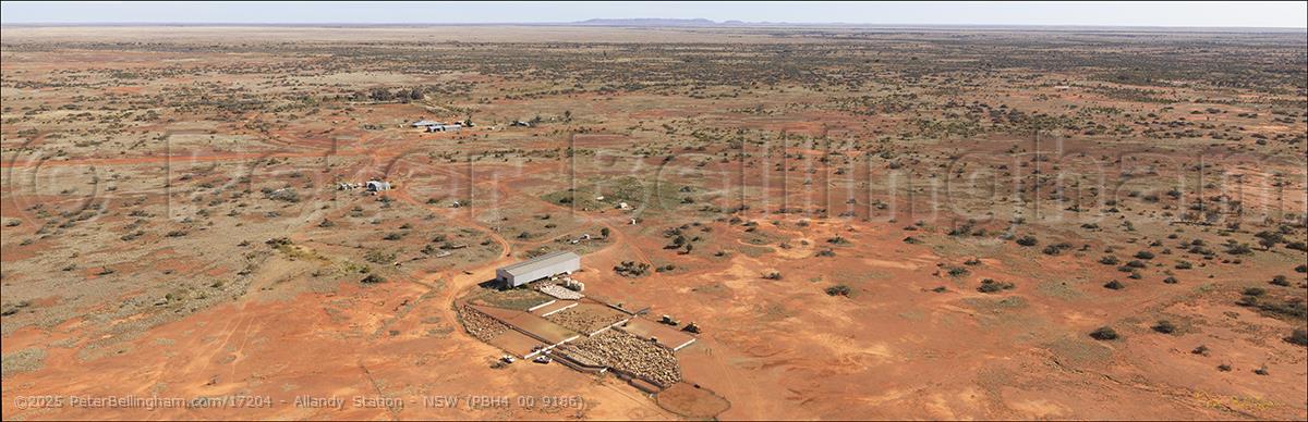 Peter Bellingham Photography Allandy Station - NSW (PBH4 00 9186)